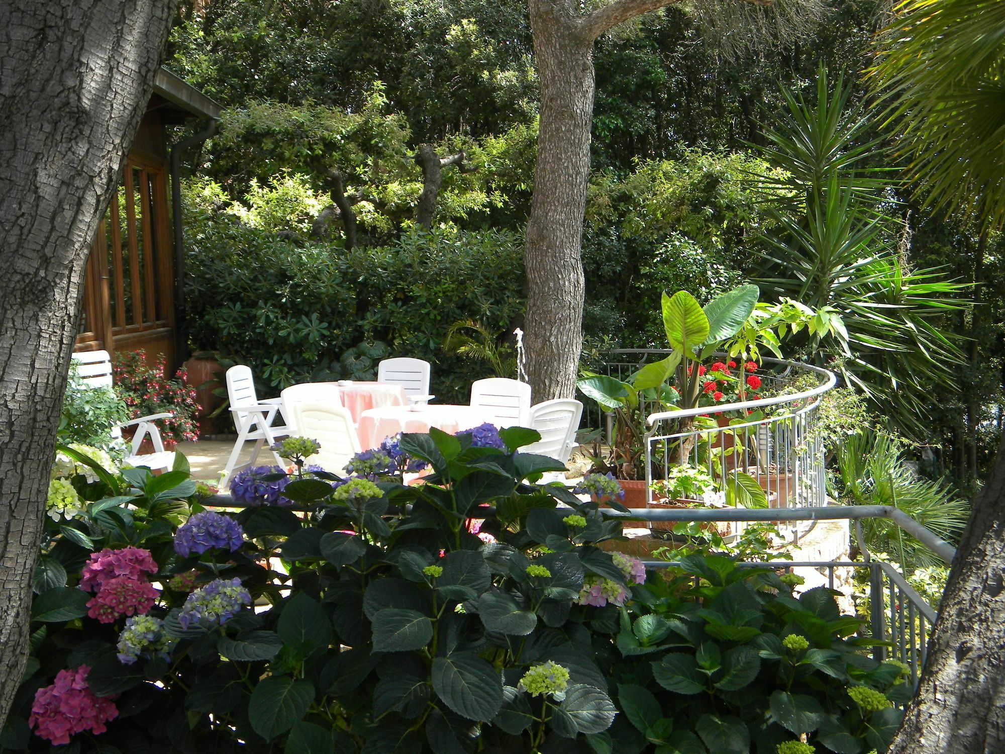 Hotel La Rosa Del Tirreno Livorno Eksteriør bilde