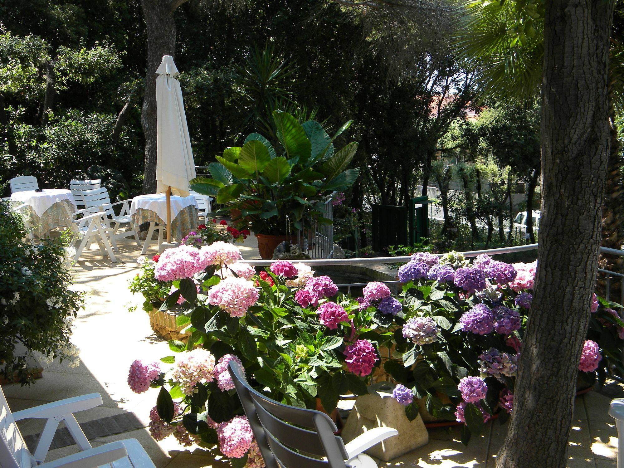 Hotel La Rosa Del Tirreno Livorno Eksteriør bilde